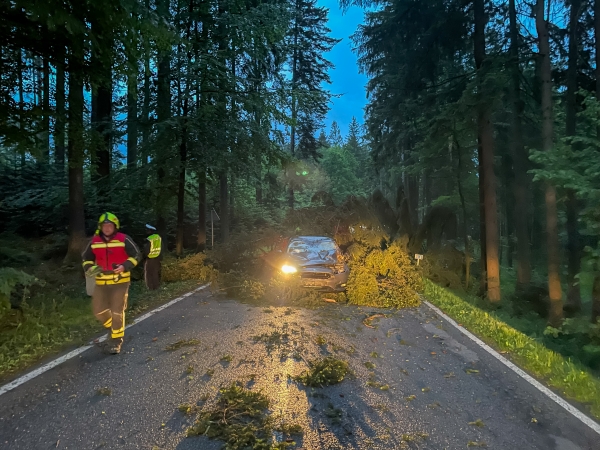 Sperre auf der B136: Baum stürzt auf fahrendes Auto