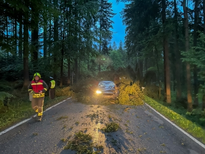 Sperre auf der B136: Baum stürzt auf fahrendes Auto